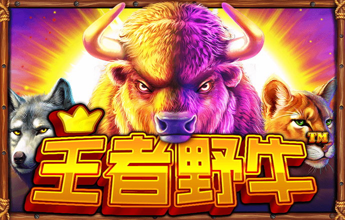 b体育最新下载入口